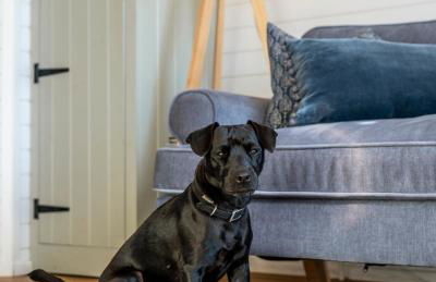 Luxury Glamping Pods - The Heft & The Hirsel - Foto 31