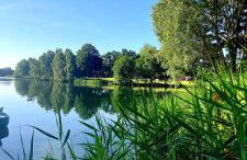 Ferienhaus Vienna am Kronensee - Foto 18