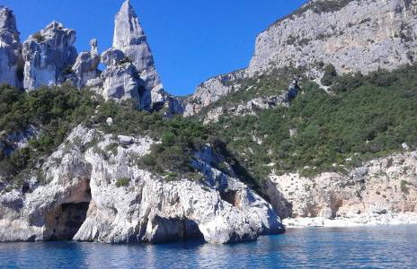 Il sughereto - Foto 17