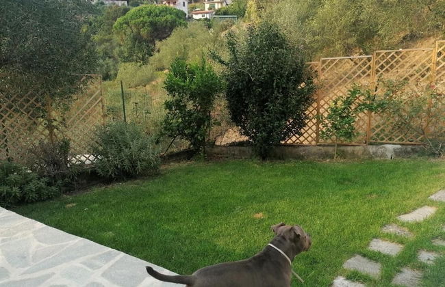 Nonna Paola Guest House - Foto 33