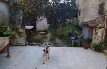 Casa vacanza zia Ersilia - Foto 63