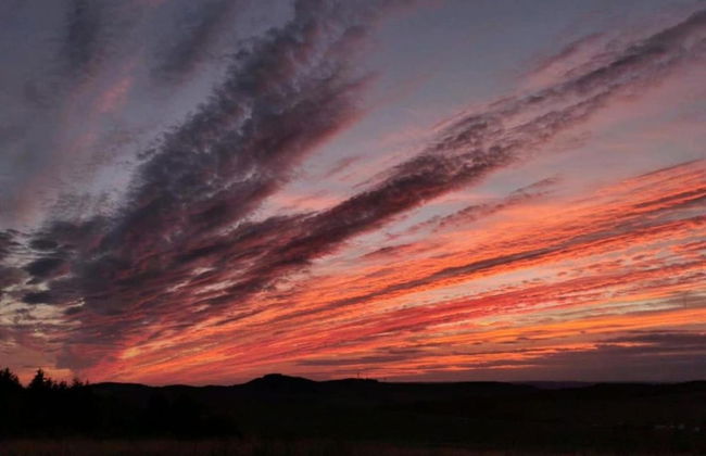 Ruhlen: Schneifel Escape - Photo 37