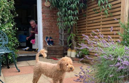 Welsh Cottage - Foto 25