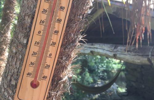 O Muíño da Balsiña - Foto 35