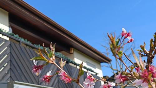 Ferienwohnung zum Märchenwald - Foto 5, Garden, Garden view