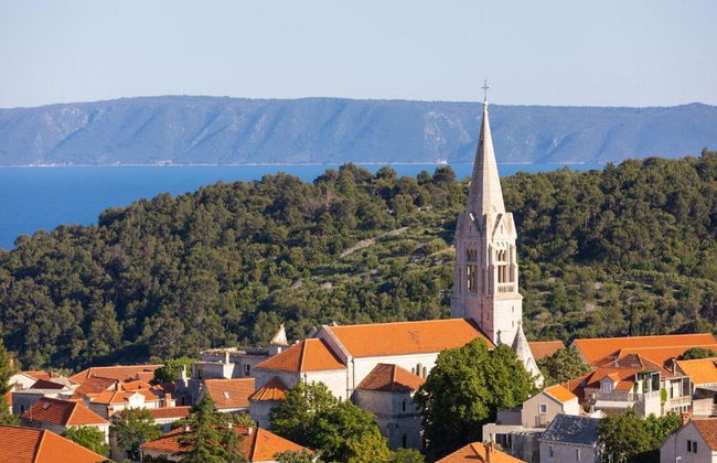 Apartment Villa Andro - Foto 45