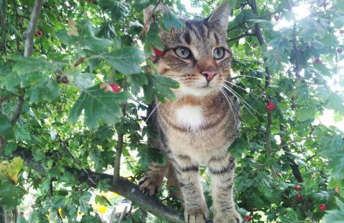 Gutshaus Landwert Hof - Foto 25