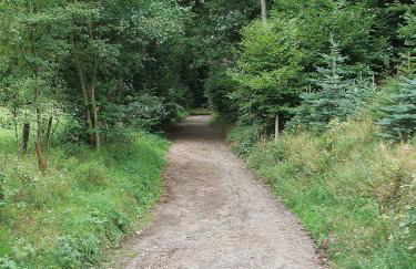 Ferienwohnungen Vulkaneifel - Foto 10