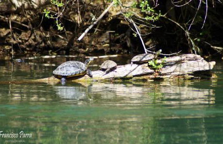 Casa Rural Los Cipreses - Photo 34
