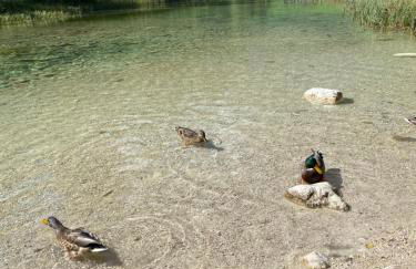 Salinenblick - Foto 38