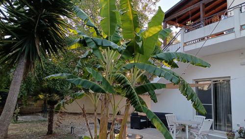 LA CASA DEL NOCE - Foto 4