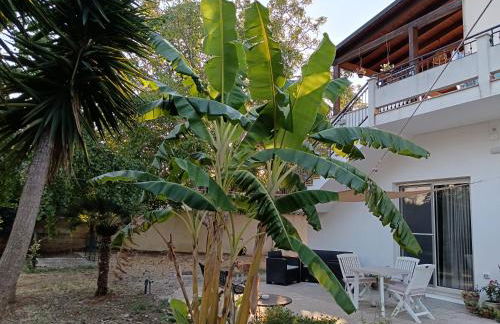 LA CASA DEL NOCE - Foto 4