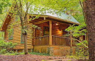 Cherokee Ridge Cabin Near The Ocoee River - Foto 20