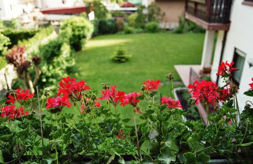 Ferienhaus Moser - Photo 18