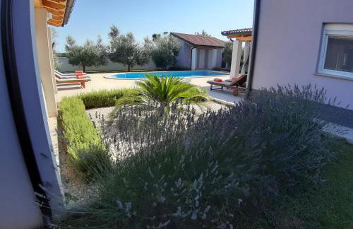 Villa Zeus - Foto 41