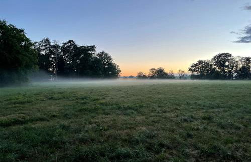 Gite de Fleur - Chateau du Grand Luçay - Foto 29