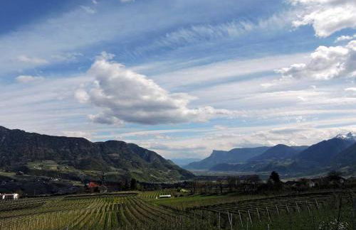 Platterhof - Foto 15