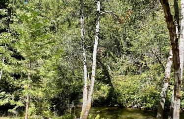 Lux, designer 8-acre retreat with private creek - Foto 76