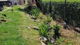 Le Domaine de la Répandise - Foto 3, Garden