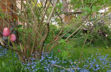 Charmante Einliegerwohnung - Foto 15