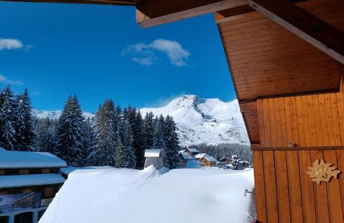 Studio coeur de station de Praz de Lys 1500m - Foto 8