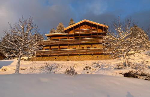 Aigle des Neiges 5 étoiles - Foto 4