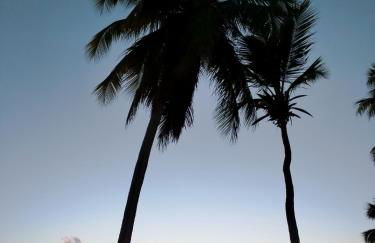 Cabanas Caraúbas - frente para o mar, ar & Tv - Foto 20