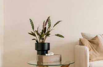 M3 Komfort Apartament Siemiatycze - Foto 15