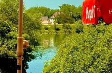 Entre Ried et Rhin - Foto 28