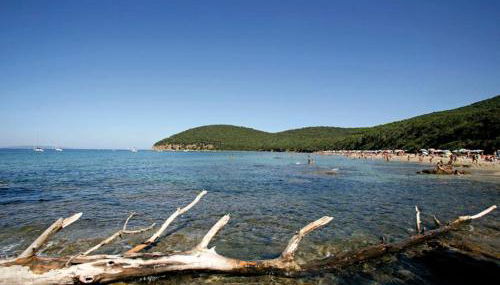 Casa Laura Follonica - Foto 4