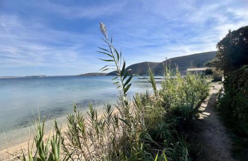 Apartmani Filmaris - Foto 38