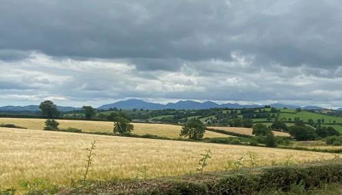 Tanvally Stud - Foto 5