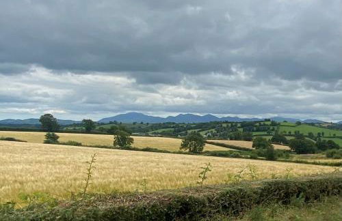 Tanvally Stud - Foto 5