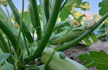 Το Καμίνι, πέτρινη κατοικία πάνω στη θάλασσα The Kiln House Kamini, Retreat on the beach - Photo 19