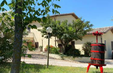 Cardinal Girolamo - Foto 31