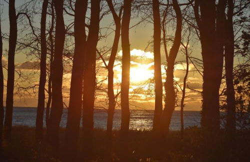 Ferienwohnung Labrador - Foto 25