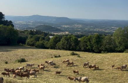 Maison Chez la Malie - Photo 1