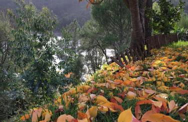 Casa RioTempo + Jangada - Foto 69