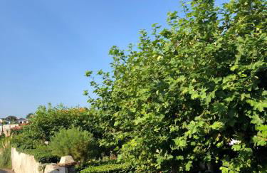 Appartement Parlementia, Domaine Koskenia - Foto 41