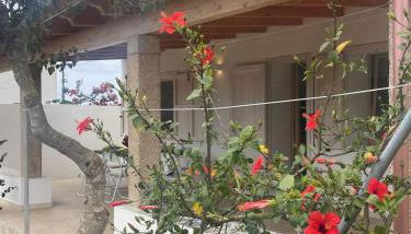 Villa Nido dei Passeri - Foto 5