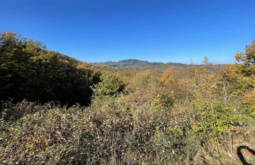 Dimora Medievale Lucolena - Foto 34