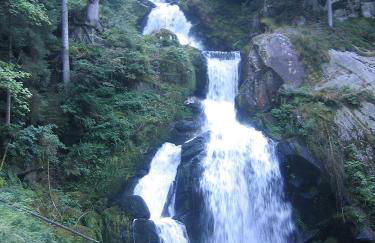 VilaMi Ferienwohnung - Foto 33