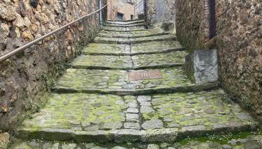 La Casa Dei Fiori - Foto 2