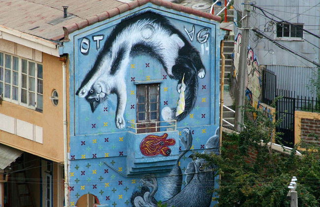 Urban Art Tour of Valparaiso - Photo 8