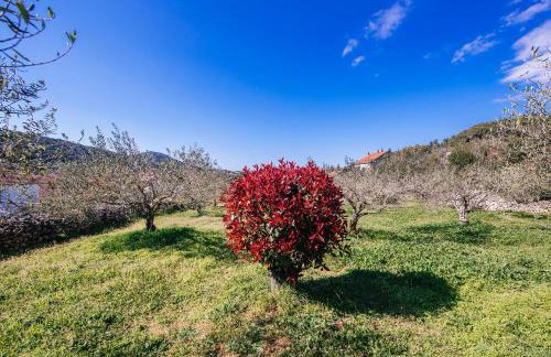 Roko Opaćac Veli IŽ,otok Iž - Foto 29