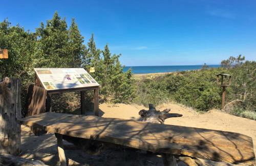 Huge Holiday Home in Marina di Castagneto Carducci near Sea - Foto 83