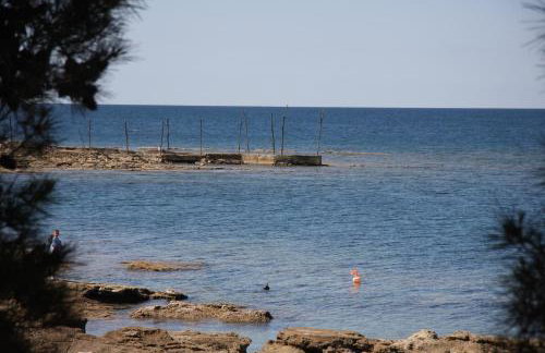 Apartman Rino - Foto 28