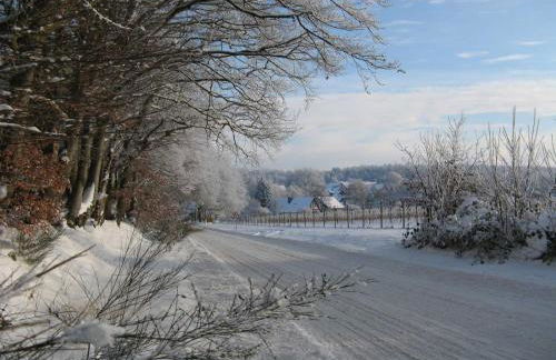Ferienwohnung Am Walde - Photo 58