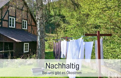 Ferienwohnung im Sauerland Hunde willkommen Kamin und Garten am Waldrand Muehls-Sauerland - Foto 65