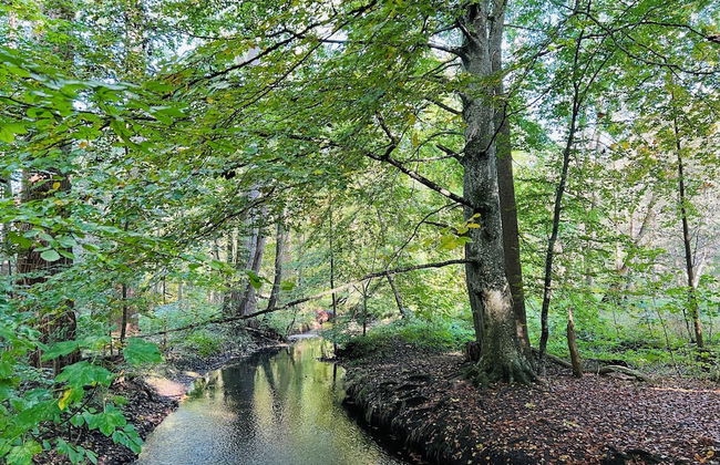 Villa relaXotic - Photo 53